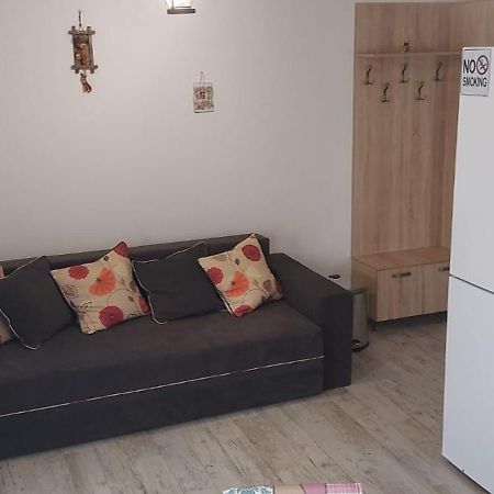 Zander House Pecineaga エクステリア 写真