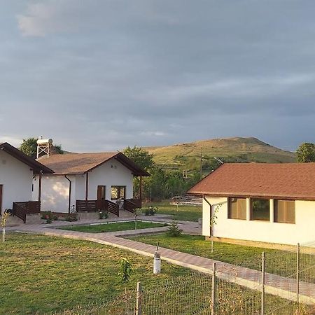 Zander House Pecineaga エクステリア 写真