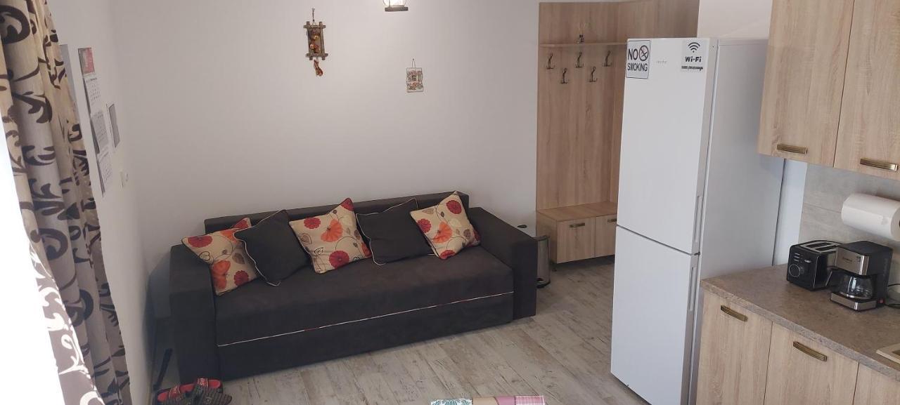Zander House Pecineaga エクステリア 写真